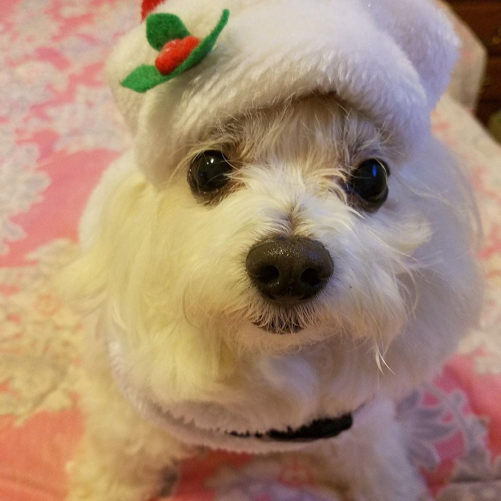 Meet your Posher, Gina